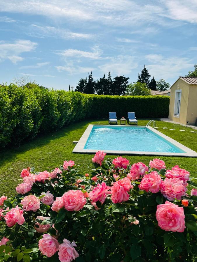 Un Coin Tropical En Provence ! Hotel LʼIsle-sur-la-Sorgue Exterior foto